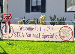 The 75th STCA National Specialty 2011 in Las Vegas (USA)